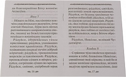 Акафист святителю Николаю, архиепископу Мир Ликийских, чудотворцу (арт. 06144)