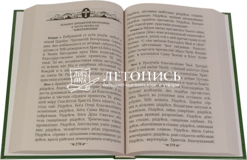 Полный акафистник Пресвятей Богородице в 2 томах фото 3