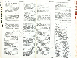 Библия в кожаном переплете на молнии, синодальный перевод, золотой обрез (арт.13091)