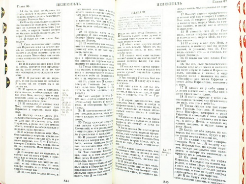 Библия в кожаном переплете на молнии, синодальный перевод, золотой обрез (арт.13091) фото 8