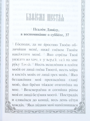 Псалтирь (крупный шрифт) (Арт. 18932) фото 5