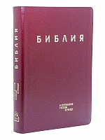 Библия в современном русском переводе (переплет из экокожи, золотой обрез) (Арт. 18869)