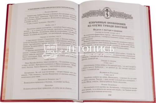 Православный богослужебный сборник. В помощь молящимся в храме фото 2