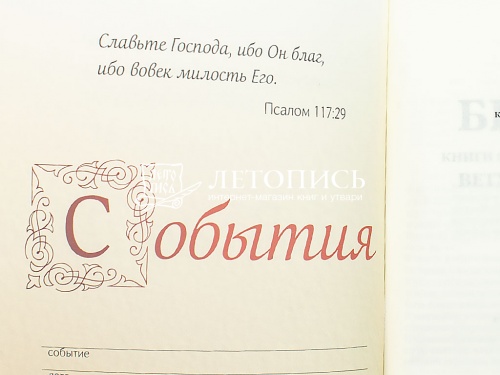 Библия в кожаном переплете на молнии, канонические книги, синодальный перевод, золотой обрез (арт.17395) фото 5