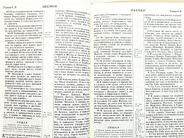 Библия в кожаном переплете на молнии, канонические книги, синодальный перевод, золотой обрез (арт.17394)