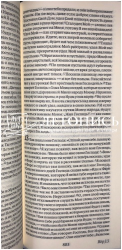 Библия, современный русский перевод, малый формат (арт. 11129) фото 6
