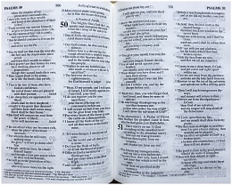 Библия на английском языке - Holy Bible (арт. 11014)