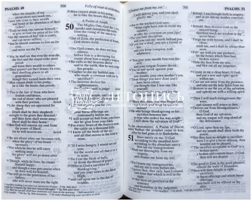 Библия на английском языке - Holy Bible (арт. 11014) фото 5