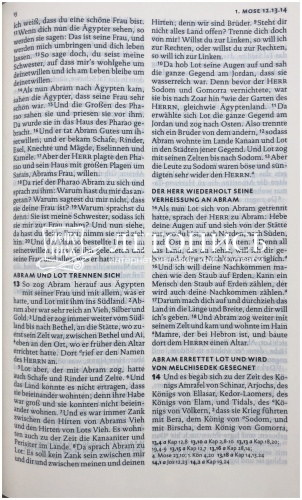 Библия на немецком языке, классический перевод Лютера (арт.11046) фото 8