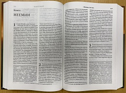 Библия, современный русский перевод (арт. 17393)