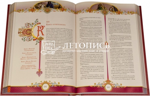 Семейная Библия с цветными гравюрами Гюстава Доре (арт. 08762) фото 2