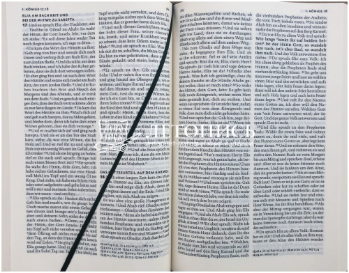 Библия на немецком языке, классический перевод Лютера (арт.11046) фото 9