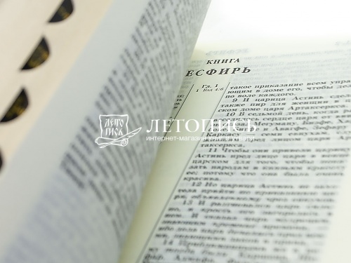 Библия в кожаном переплете, канонические книги, синодальный перевод, золотой обрез с указателями (арт.17397) фото 5