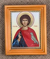 Икона святой мученик Трифон (двойное тиснение, 160х140 мм, арт. 17287)