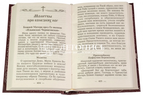 Дополнение к книге "Молитвенный щит православного христианина" фото 2