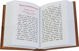 Молитвослов и Псалтирь на церковно славянском языке в транскрипции современной кириллицей (арт. 02391)