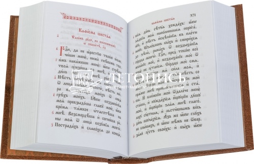 Молитвослов и Псалтирь на церковно славянском языке в транскрипции современной кириллицей (арт. 02391) фото 2