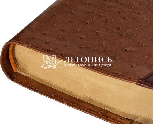 Библия в переплете из искуственной кожи, синодальный перевод, золотой обрез (арт.09527)  фото 3