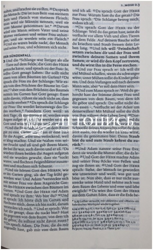 Библия на немецком языке, классический перевод Лютера (арт.11046) фото 7