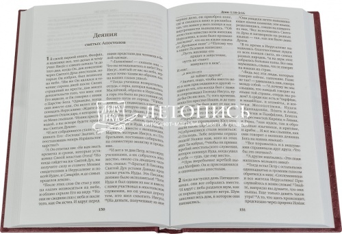 Новый Завет по тексту большинства (современный русский перевод) фото 2