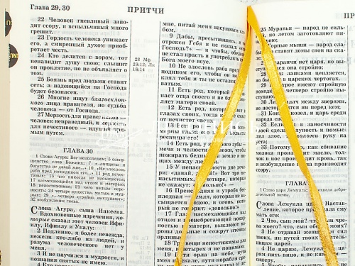 Библия в кожаном переплете на молнии, золотой обрез с указателями (арт. 14113) фото 7