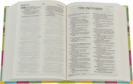 Библия на английском языке - Holy Bible (арт. 11014)