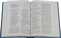 Библия, современный русский перевод (арт. 13003)