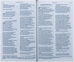 Библия, современный немецкий перевод (арт.11037)