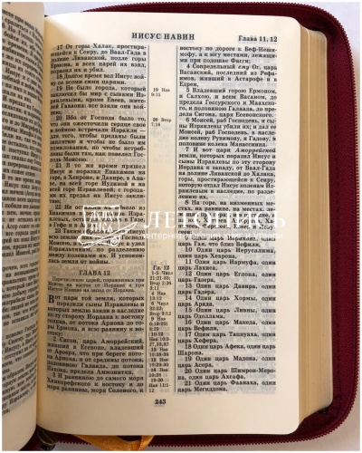 Библия в декоративном переплете на молнии (арт. 11124) фото 9