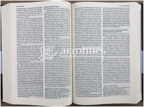 Библия на немецком языке, классический перевод Лютера (арт.11047) фото 14