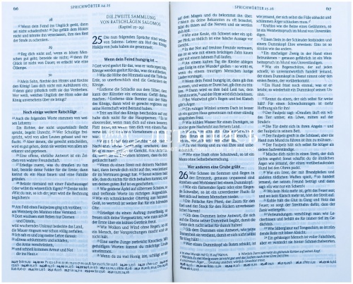 Библия, современный немецкий перевод (арт.11037) фото 5