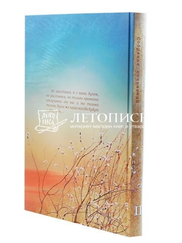 Собрание сочинений игумении Таисии (Солоповой) (в 3 томах) фото 11