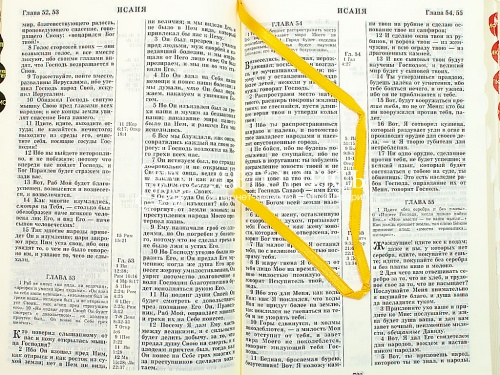 Библия в кожаном переплете, канонические книги, синодальный перевод, золотой обрез с указателями (арт.17397) фото 7