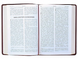Библия в кожаном переплете, золотой обрез, две закладки (арт. 05240)