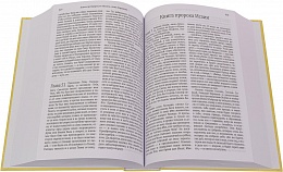 Библия: Книги Священного Писания Ветхого и Нового Заветов (арт. 14803)