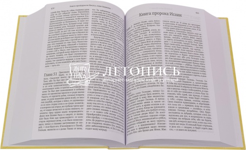 Библия: Книги Священного Писания Ветхого и Нового Заветов (арт. 14803) фото 3