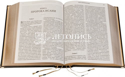 Библия в кожаном переплете, футляр, металлические шильдики и металлические уголки, закладка (арт. 08539) фото 4
