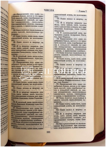 Библия в декоративном переплете на молнии (арт. 11124) фото 8