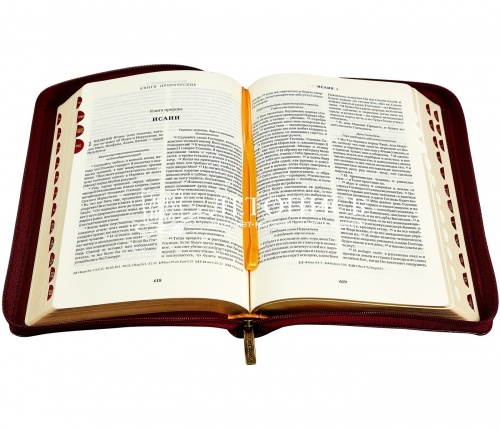 Библия в кожаном переплете на молнии, синодальный перевод, золотой обрез (арт.07388) фото 2