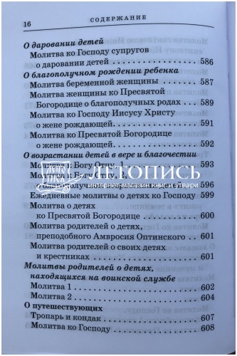 Православный молитвослов с приложением молитв на всякую потребу (арт. 11029) фото 15