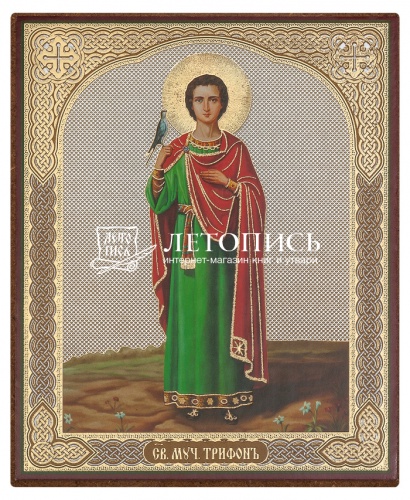 Икона "Святой мученик Трифон" (ростовая) (оргалит, 120х100 мм)