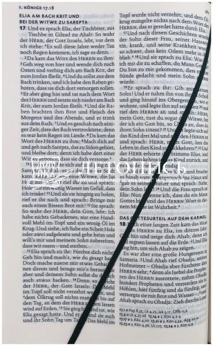 Библия на немецком языке, классический перевод Лютера (арт.11047) фото 8