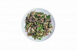 Напиток чайный из дикорастущих трав "Родниковый" для почек, 100 г