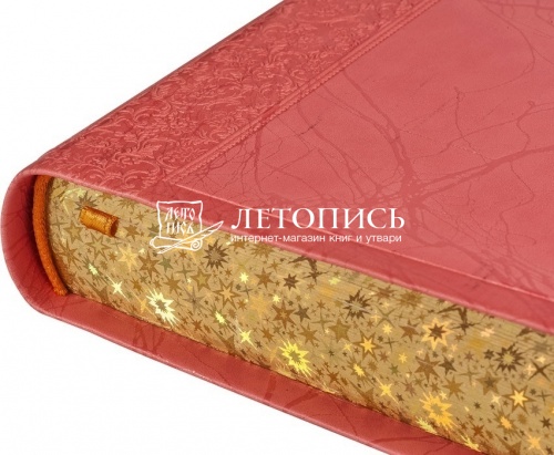 Библия в кожаном переплете, золотой обрез (арт.11017) фото 7
