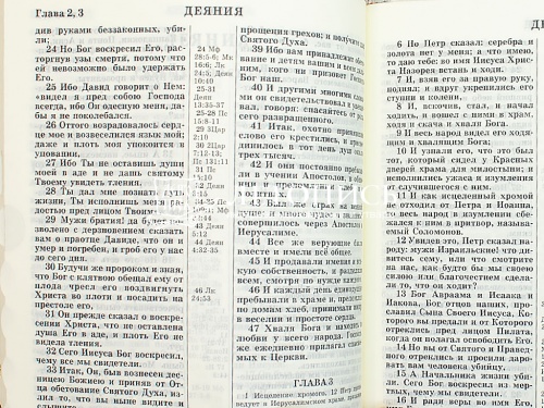 Библия в кожаном переплете на молнии, канонические книги, синодальный перевод, золотой обрез (арт.17395) фото 7