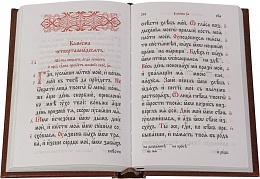 Псалтирь пророка и царя Давида на церковнославянском (арт. 14487)