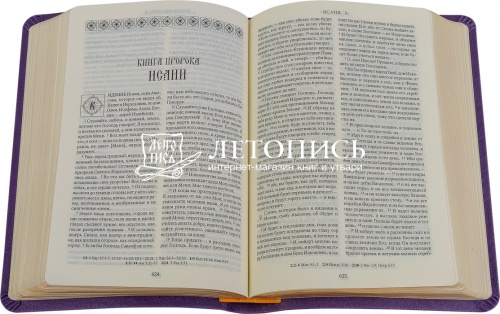 Библия в переплете из искусственной кожи, золотой обрез (арт. 13000) фото 2