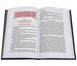 Библия в кожаном переплете, футляр (арт.07438)