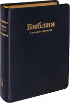 Библия в кожаном переплете, футляр (арт.11119)