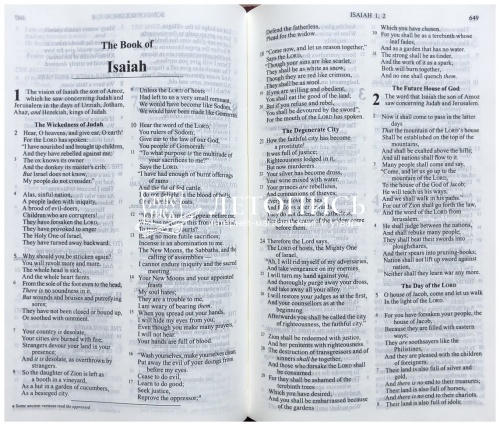 Библия на английском языке, короля Джеймса - Holy Bible, New King James Version  (арт.11015) фото 5